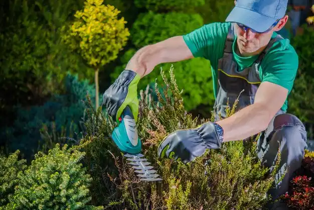 landscaping services Bolton Landing
